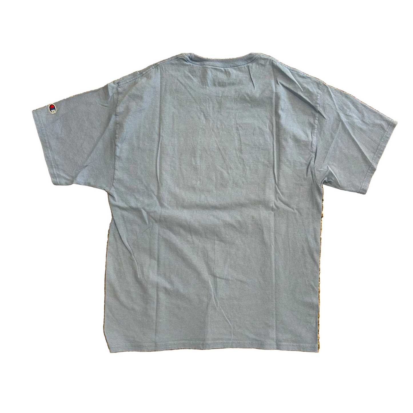 Champion Eastern Virginia Medical School Proud Parent Light Blue Tshirt - Medium - 21" x 28"