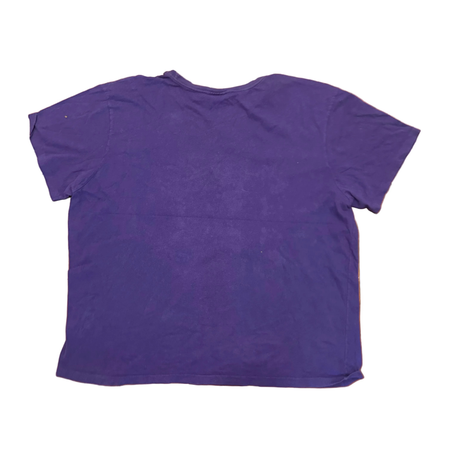 Polo RalPH Lauren Purple Green Tshirt - XLarge - 27" x 29"