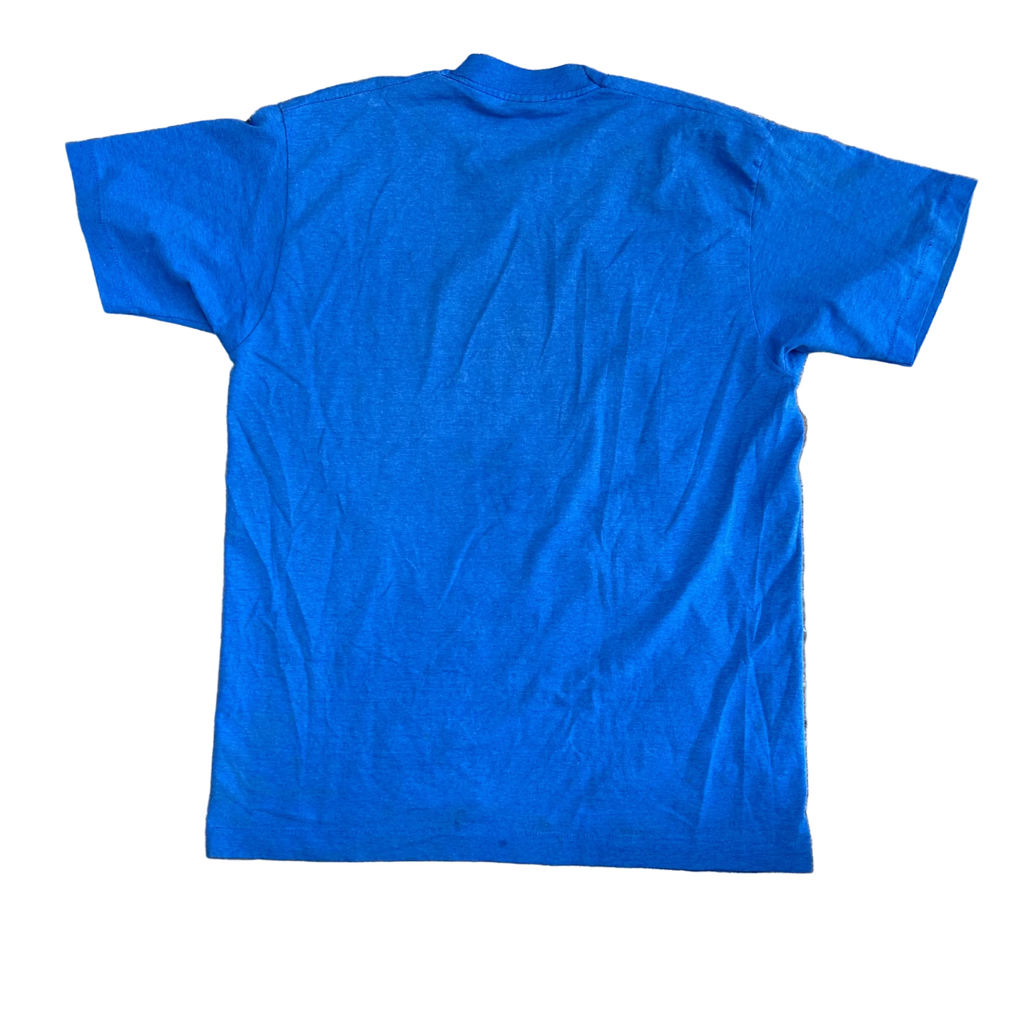 90's Obnoxious Tiger Fan Blue Tshirt - Large - 22" x 29.5"
