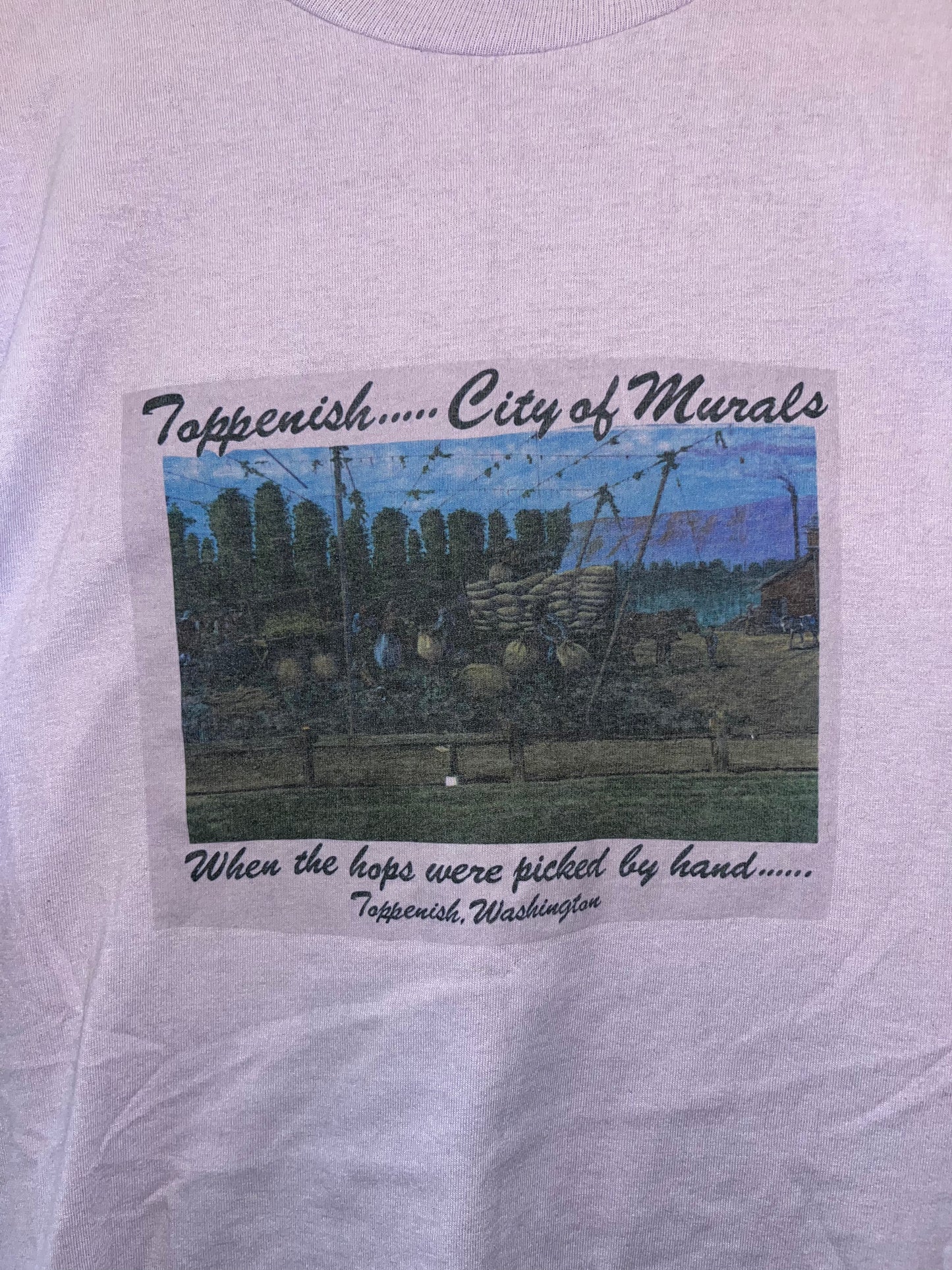 80's Hanes City of Murals Tshirt - Medium - 21.5” x 28