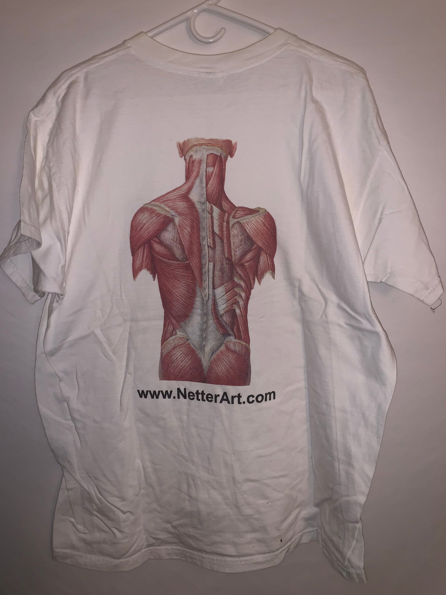 Body Tshirt - Large - 23” x 28”