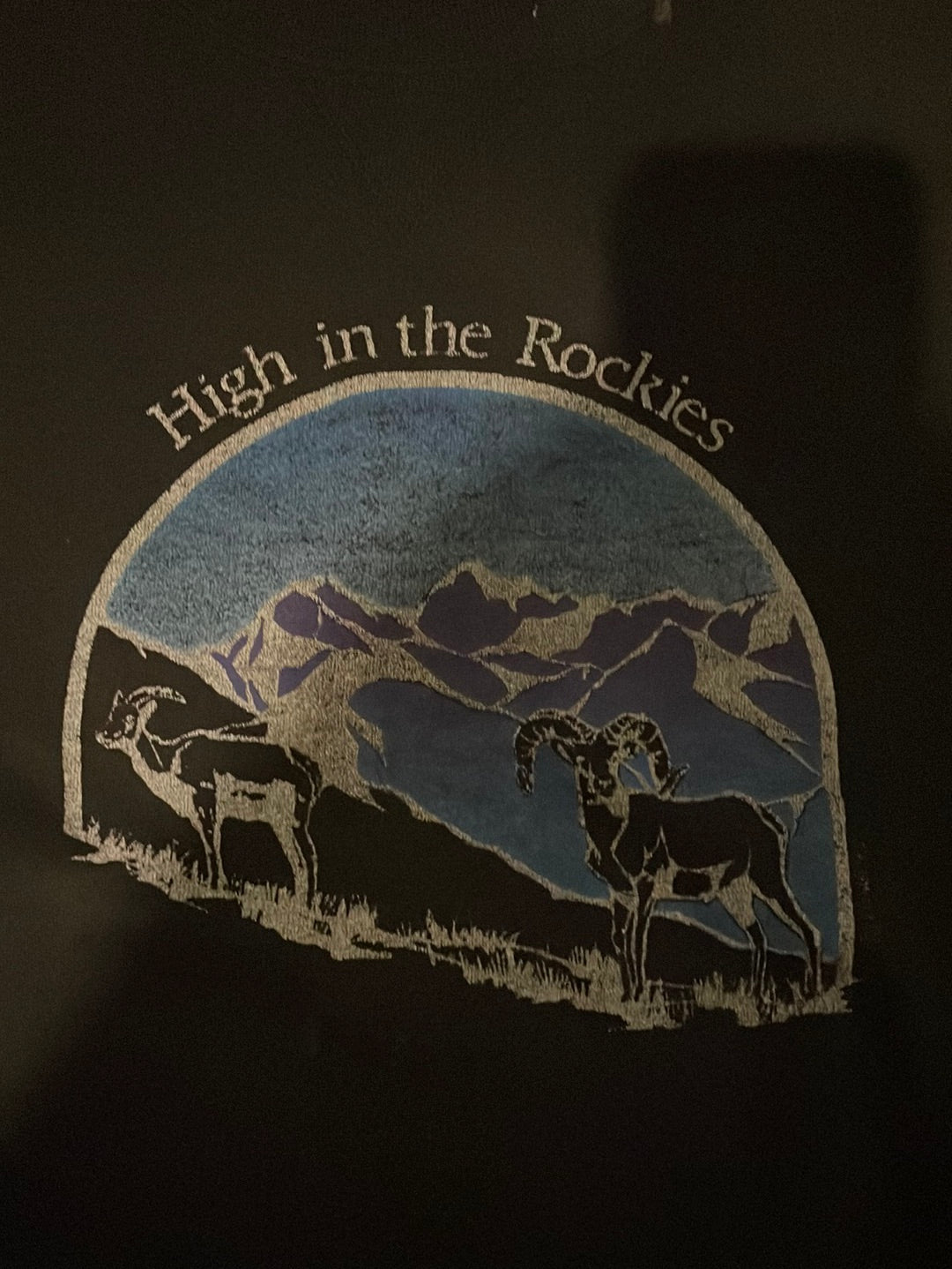 90 年代 Russell High In The Rockies 圆领毛衣 - 22 英寸 x 24 英寸