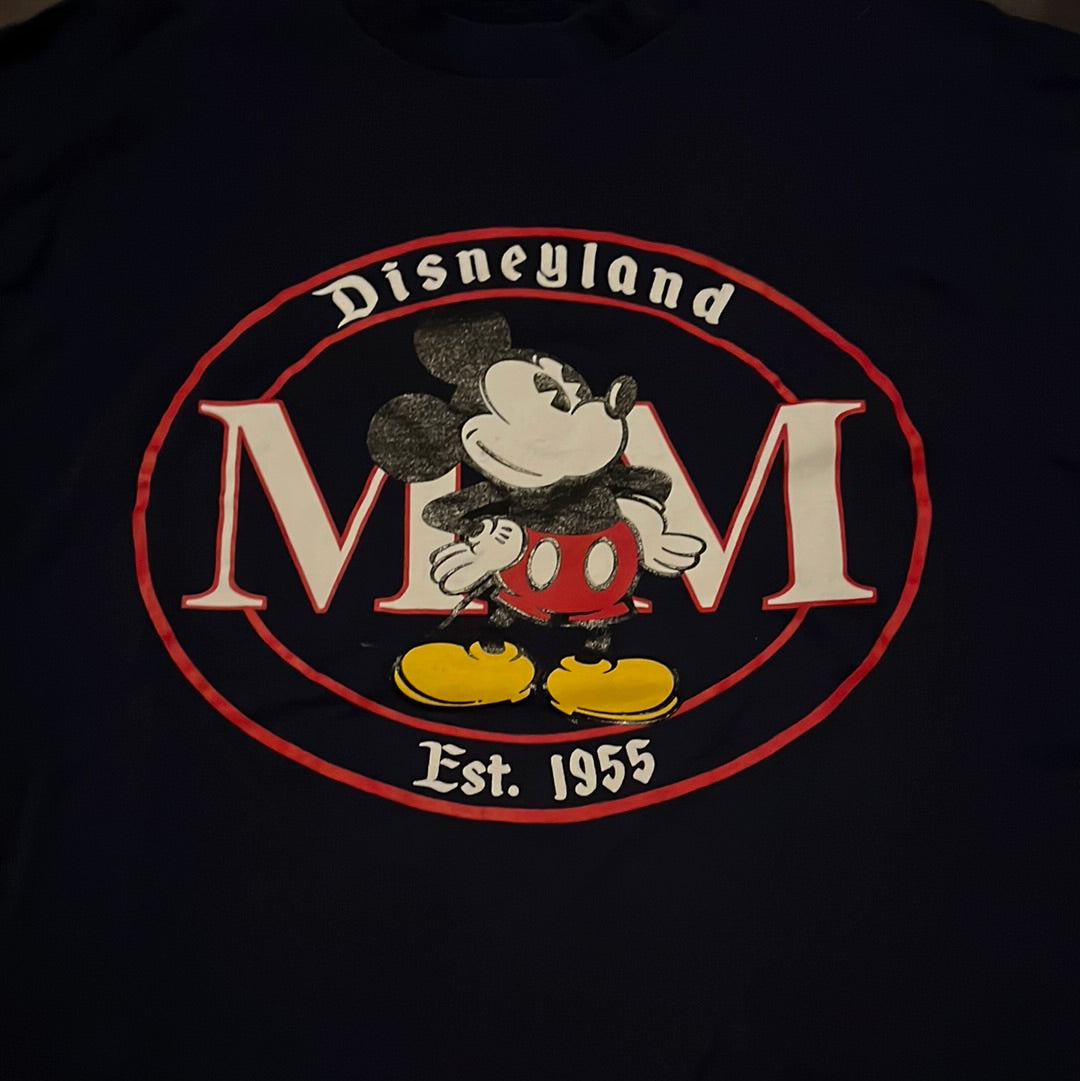 Camiseta Disneyland de los 90 - Grande - 22.5” x 27”