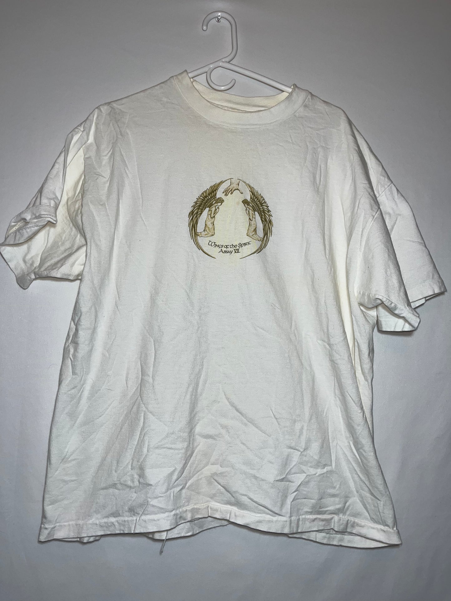 Hanes Beefy Wings of the Angel Tshirt - Large - 22.5” x 27.5”