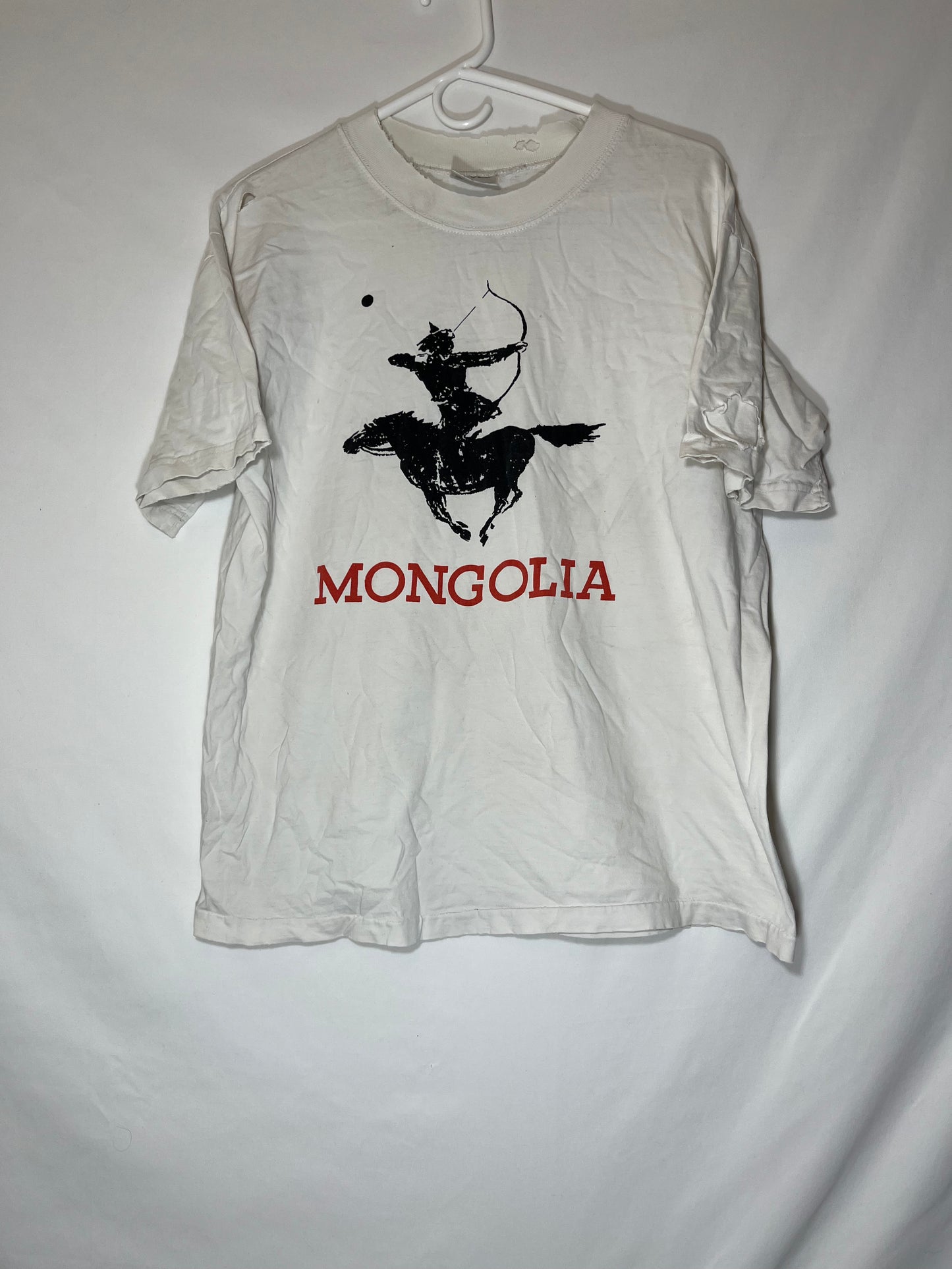 Hanes Beefy Mongolia Camiseta - Grande - 22" x 25"