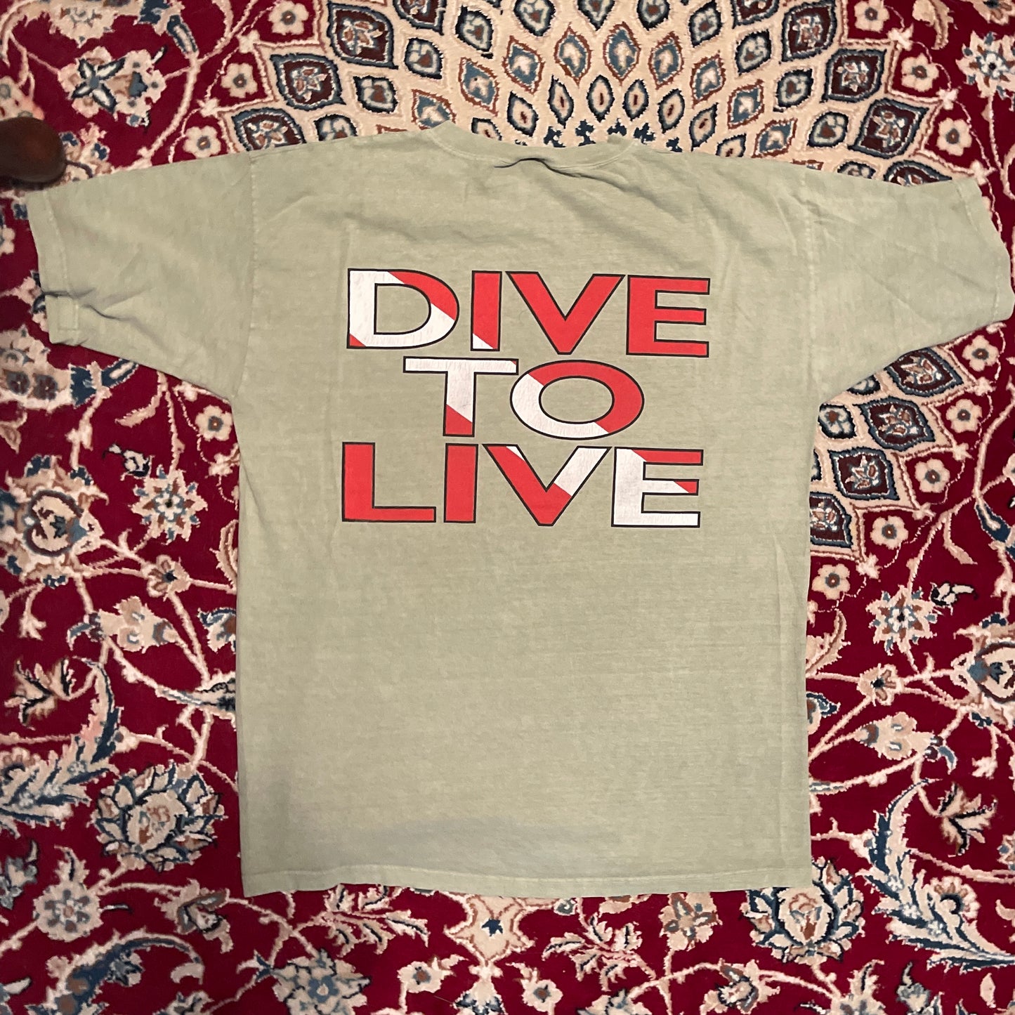 Live to Dive Dive to Live T 恤 - 22.5 英寸 x 29 英寸