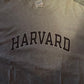 Camiseta de campeón de Harvard - 22" x 27"