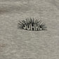 Sudadera con capucha Urchins Harvester de los años 90 - 24" x 24"