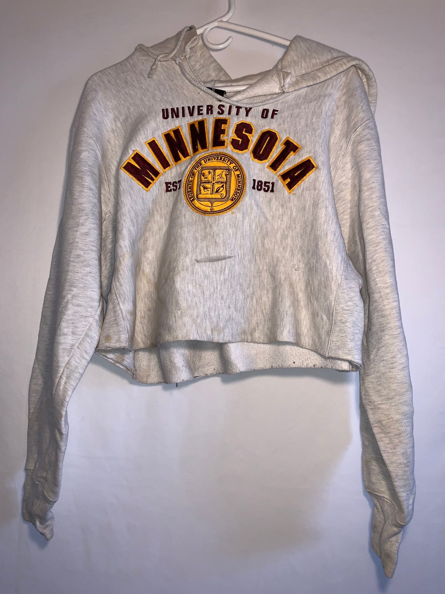 Minnesota Cropped Hoodie - Large - 23” x 17”