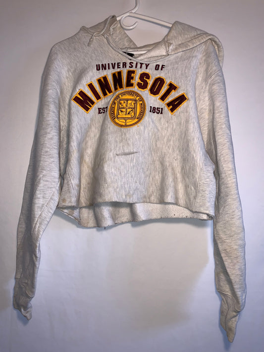 Sudadera corta con capucha Minnesota - Grande - 23" x 17"