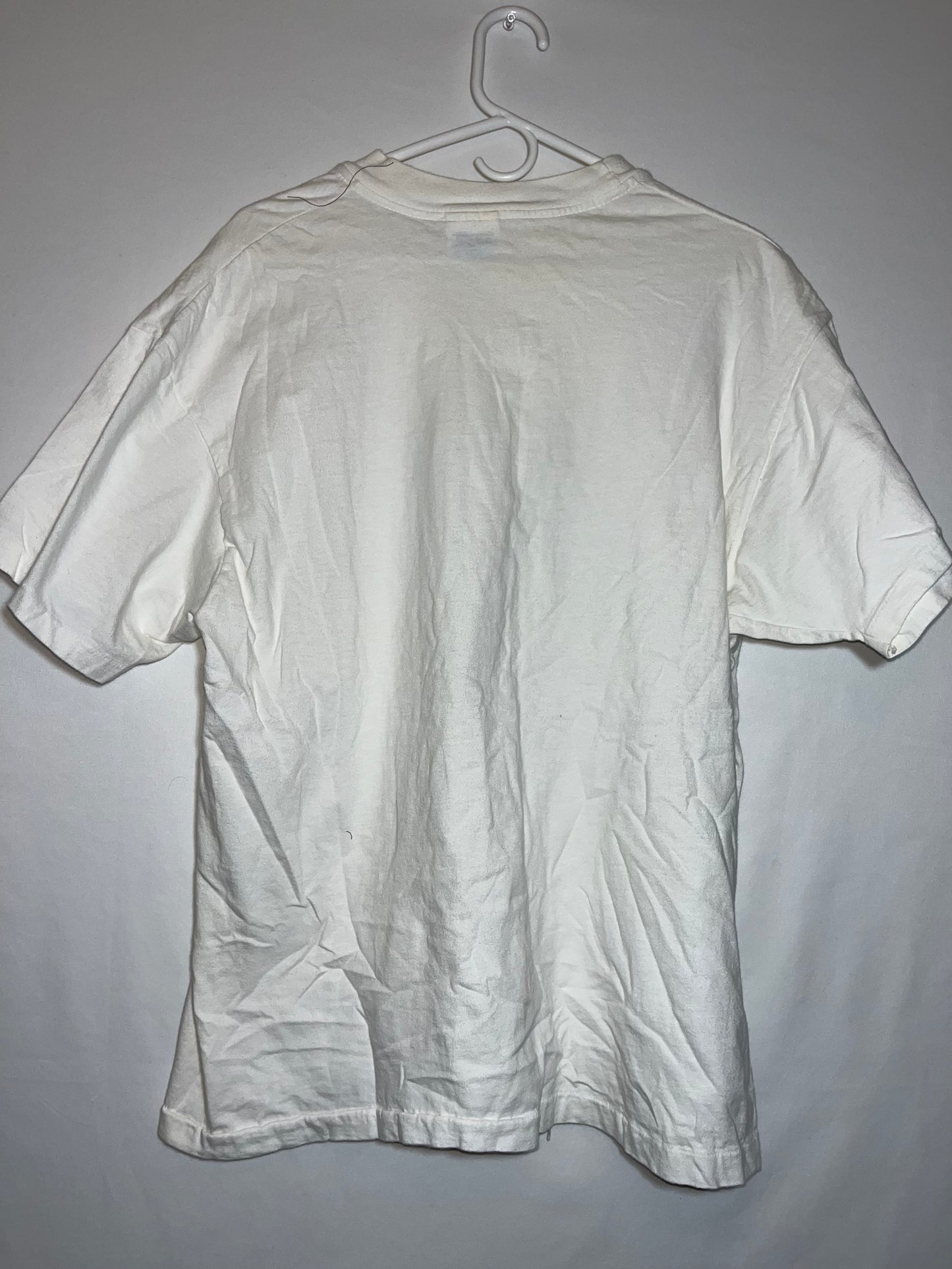 Hanes Beefy Wings of the Angel Tshirt - Large - 22.5” x 27.5”